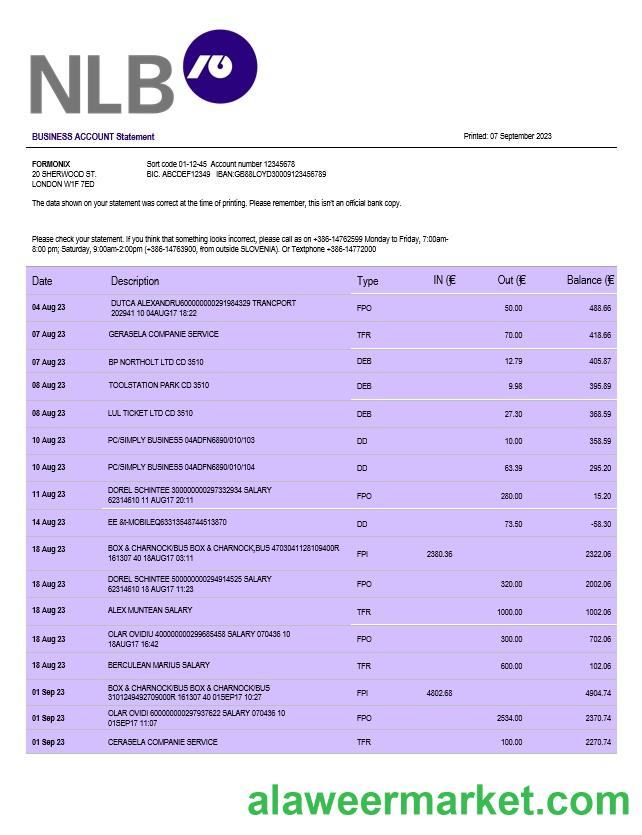 NLB Bank firm account statement Word and PDF template